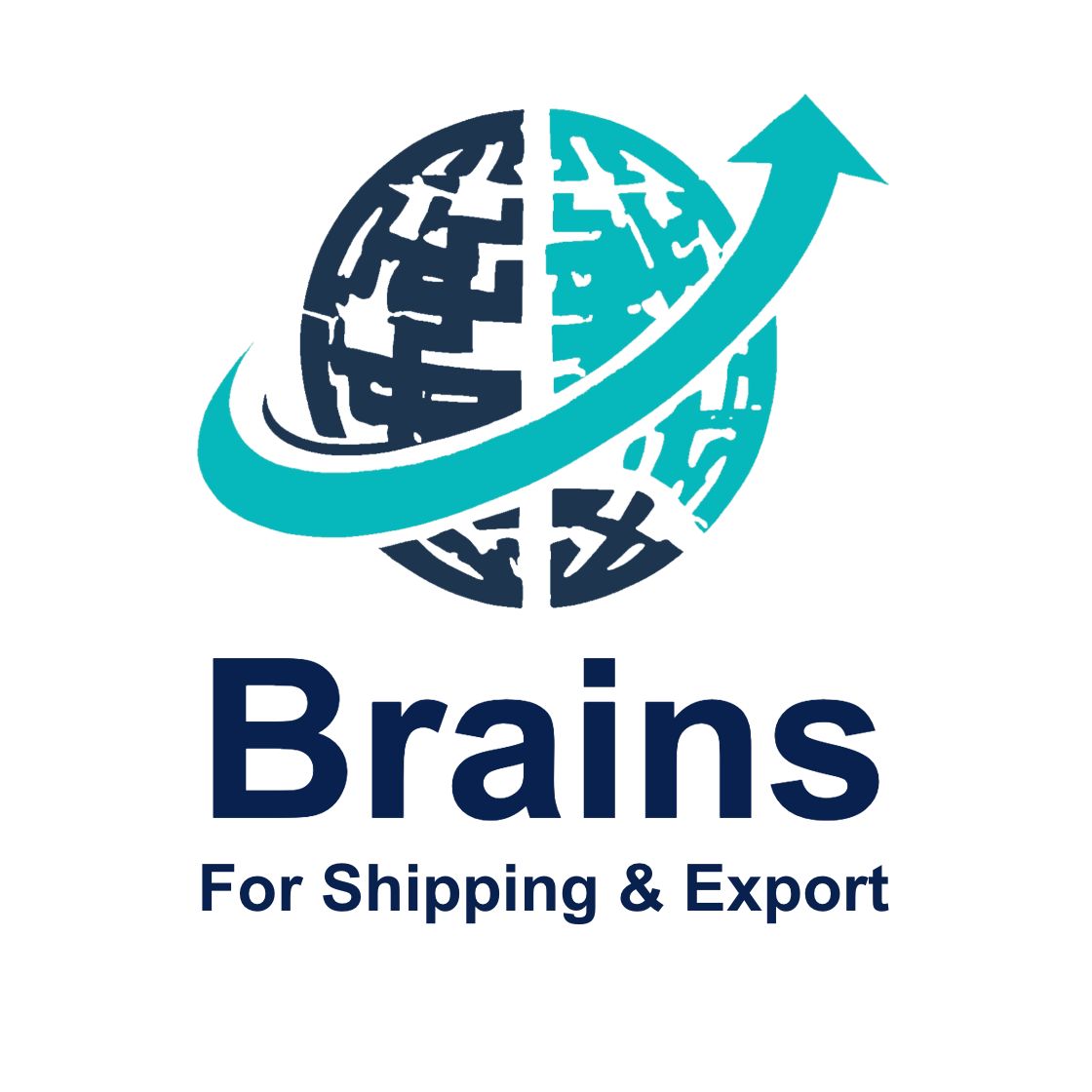 Brains Shipping & Export — Logo